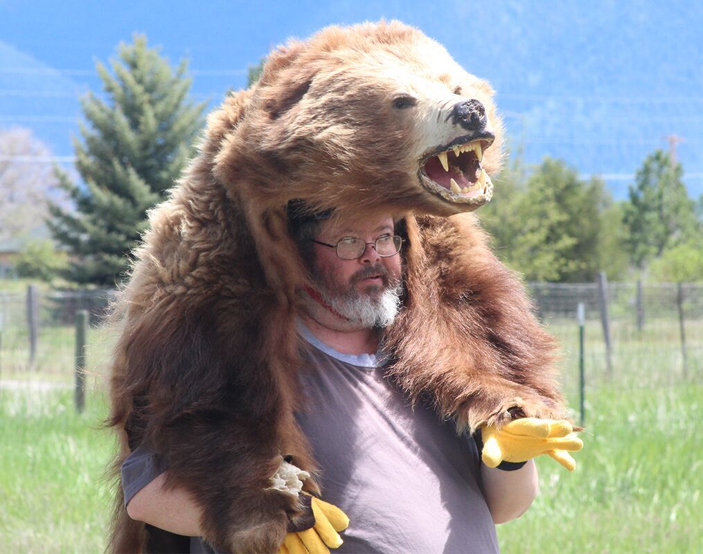 Wind River Bear Institute